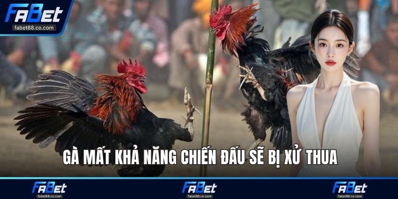 Gà mất khả năng chiến đấu sẽ bị xử thua