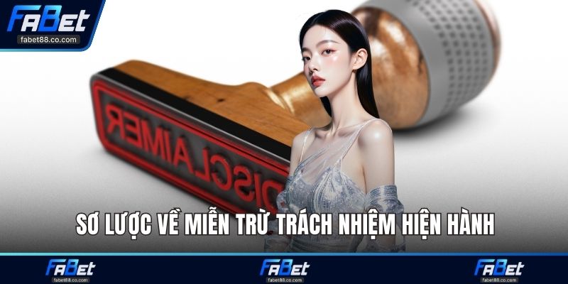 Sơ lược về miễn trừ trách nhiệm hiện hành